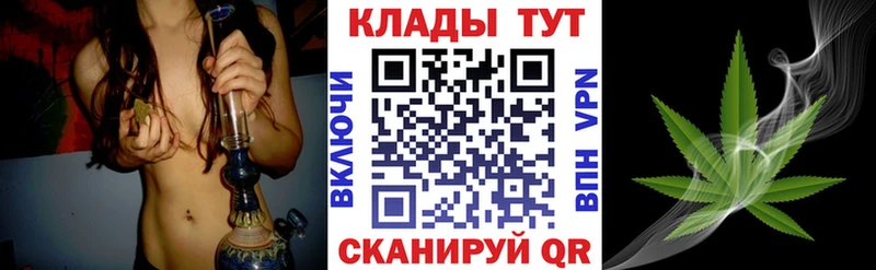 Конопля Олонец