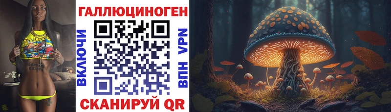 Галлюциногенные грибы Psilocybine cubensis  Купить закладки  Олонец 